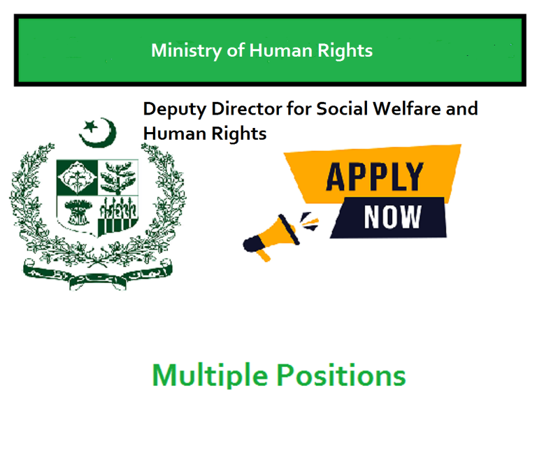 Project Manager / Deputy Director for Social Welfare and Human Rights Project