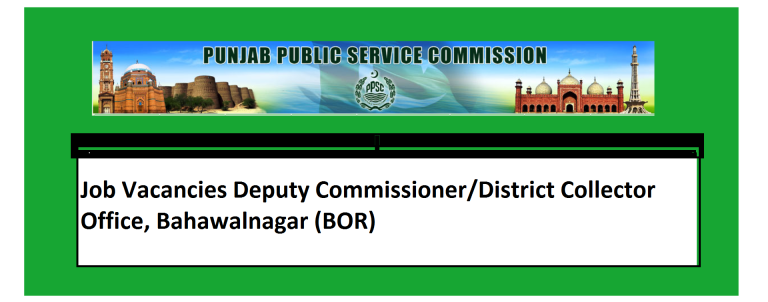 Job Vacancies Deputy Commissioner/District Collector Office, Bahawalnagar (BOR)