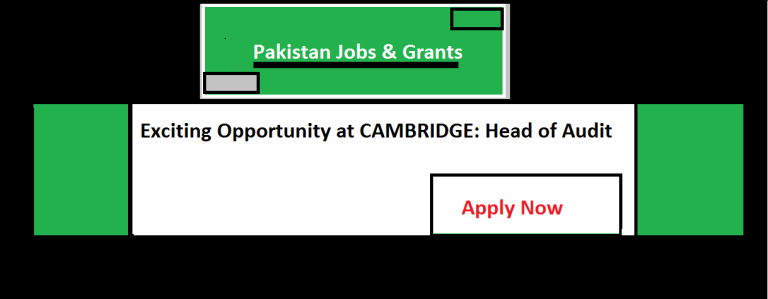 Exciting Opportunity at CAMBRIDGE: Head of Audit
