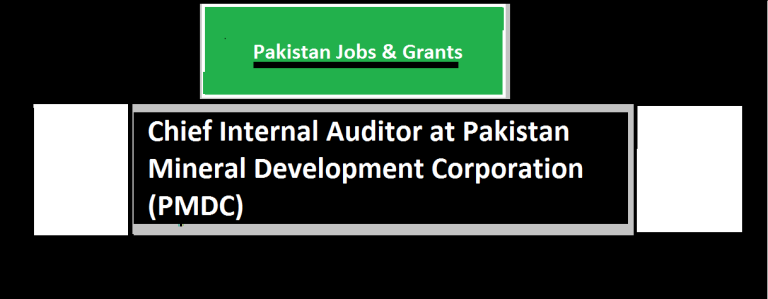 Chief Internal Auditor at Pakistan Mineral Development Corporation (PMDC)