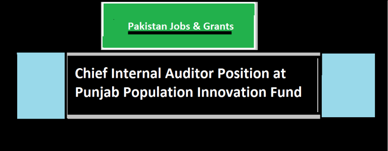 Chief Internal Auditor Position at Punjab Population Innovation Fund