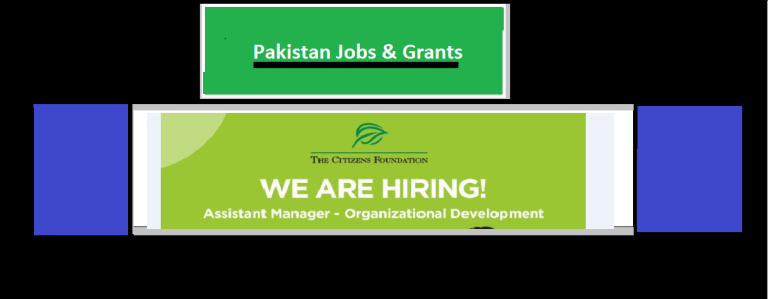 The Citizens Foundation Team: Exciting Opportunity for Assistant Manager